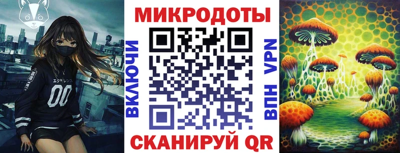Купить где  Оха  Псилоцибиновые грибы Psilocybine cubensis 